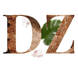 D Z