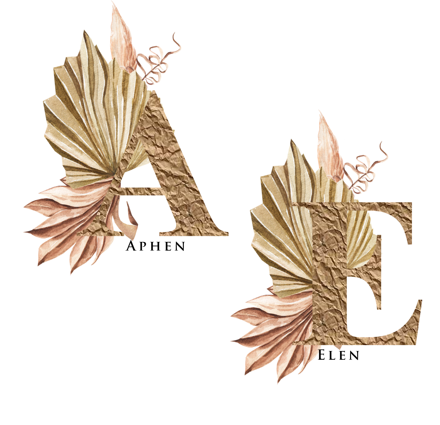ae ae